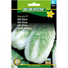 Frø Dyrk selv - Hilton Kinakål Frø BX01270