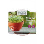 Dyrk selv - Grøn Tatsoi MicroGreens Microgarden Terracotta Skål - Prøv selv at dyrke asiatiske Tatsoi micro greens! Denne kinesiske bladgrøntsag er i familie med pak choi og har en lignende pikant smag og sprød tekstur.