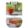 Dyrk selv - Grøn Tatsoi MicroGreens Microgarden Terracotta Skål - Prøv selv at dyrke asiatiske Tatsoi micro greens! Denne kinesiske bladgrøntsag er i familie med pak choi og har en lignende pikant smag og sprød tekstur.