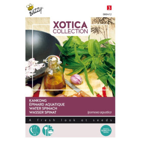 Frø Dyrk selv - Vandspinat Frø BX80412