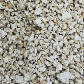 Koji Sporer Tørret Økologisk Koji Byg 500g BN04040