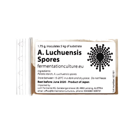 Aspergillus Luchuensis Koji Sporer 1,75g - Albino versionen af A. Luchuensis. En speciel type koji, der især har fået opmærksomhed i gastronomien for sin evne til at producere flotte citrusnoter.