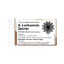 Aspergillus Luchuensis Koji Sporer 1,75g - Albino versionen af A. Luchuensis. En speciel type koji, der især har fået opmærksomhed i gastronomien for sin evne til at producere flotte citrusnoter.