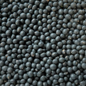 Delikatesser Kuro Sengoku - Økologiske Sojabønner 500g BC02105