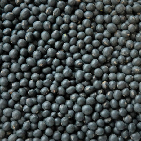 Kuro Sengoku - Økologiske Sojabønner 500g - Økologiske, premium kuromame af kultivaren Kuro Sengoku med oprindelse i Hokkaido. Perfekt til natto, tebryg, gryderetter, desserter og snacks.