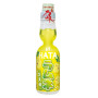 Hatakosen Ramune Yuzu Sodavand 200ml - Japansk sodavand i den klassiske Ramune flaske med glaskugle. Her i en variant med smag af den aromatiske yuzu citrusfrugt.