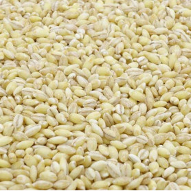 Delikatesser Økologisk Perlet Byg Til Miso 1kg BC10003