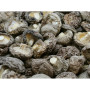 Specialiteter Shiitake Svampe Tørrede Økologiske 50g BA69058