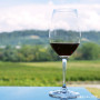 Vin Vin For Begyndere - Japansk Vin Smagskasse VFB-SMAGSKASSE