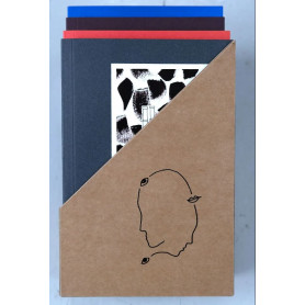 Kogebøger Japansk/Kinesisk Novella i Kassette 4 stk - Tawada, Motoya, Pin, Xiaobo VM20000