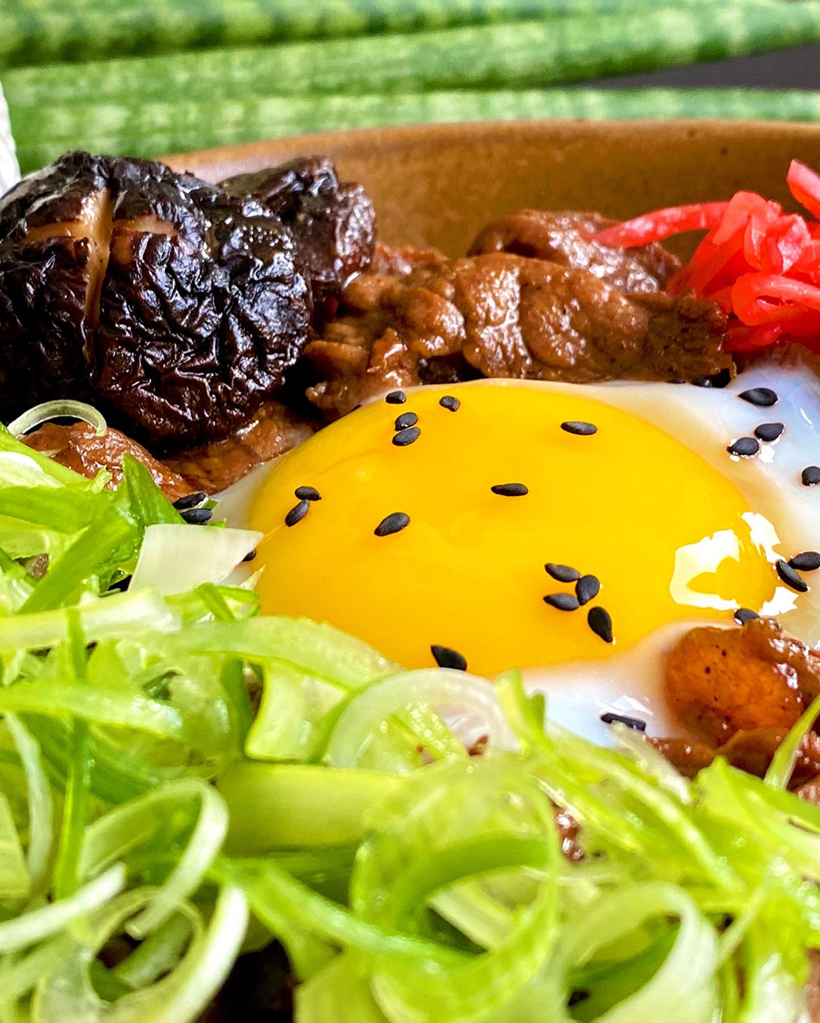 Gyudon risskål
