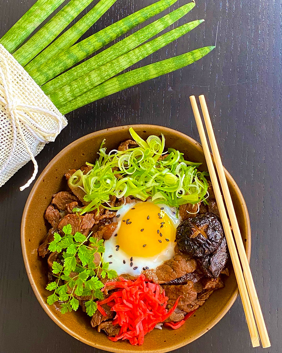 Gyudon risskål