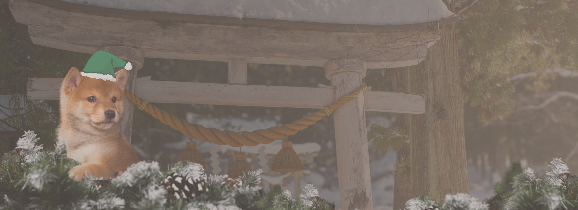 WakuWaku Julekalenderen